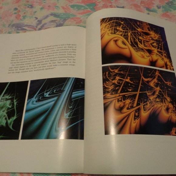 FRACTALS THE PATTERNS OF CHAOS BY JOHN BRIGGS 1992 - Picture 13 of 15